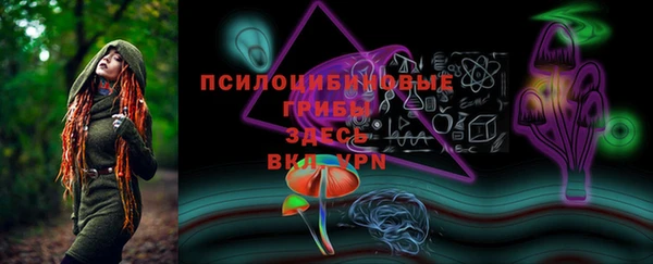 таблы Осташков