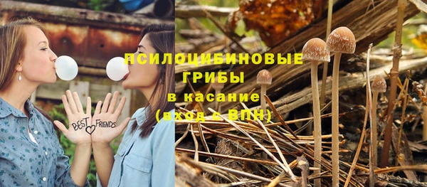 таблы Осташков