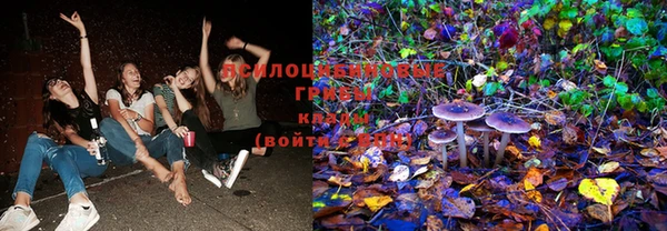 мдпв Осинники