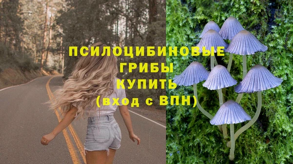 бошки Нягань