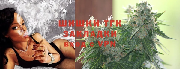 мдпв Осинники