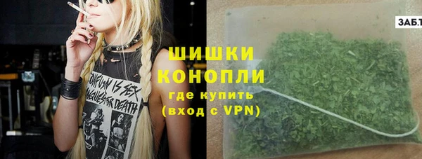 спайс Няндома