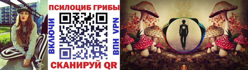 darknet наркотические препараты  Тулун  Псилоцибиновые грибы мухоморы  купить  сайты  OMG зеркало 