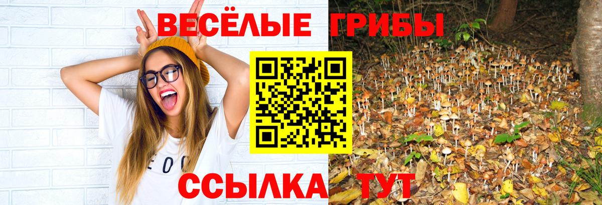 Тулун  Галлюциногенные грибы ЛСД  Вход с VPN 