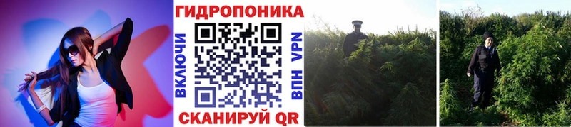 Марихуана планчик  магазин продажи наркотиков  Тулун 